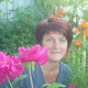 , 56 (2 , 0 )
