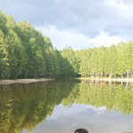 Дмитрий Иванов, 42